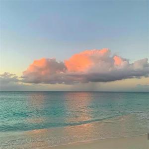 国产三级成年视频网站
