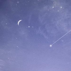 国产三级成年视频网站
