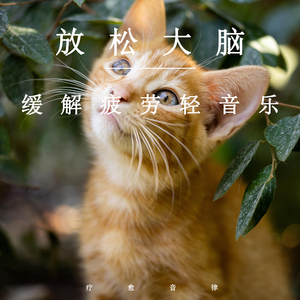 国产三级成年视频网站
